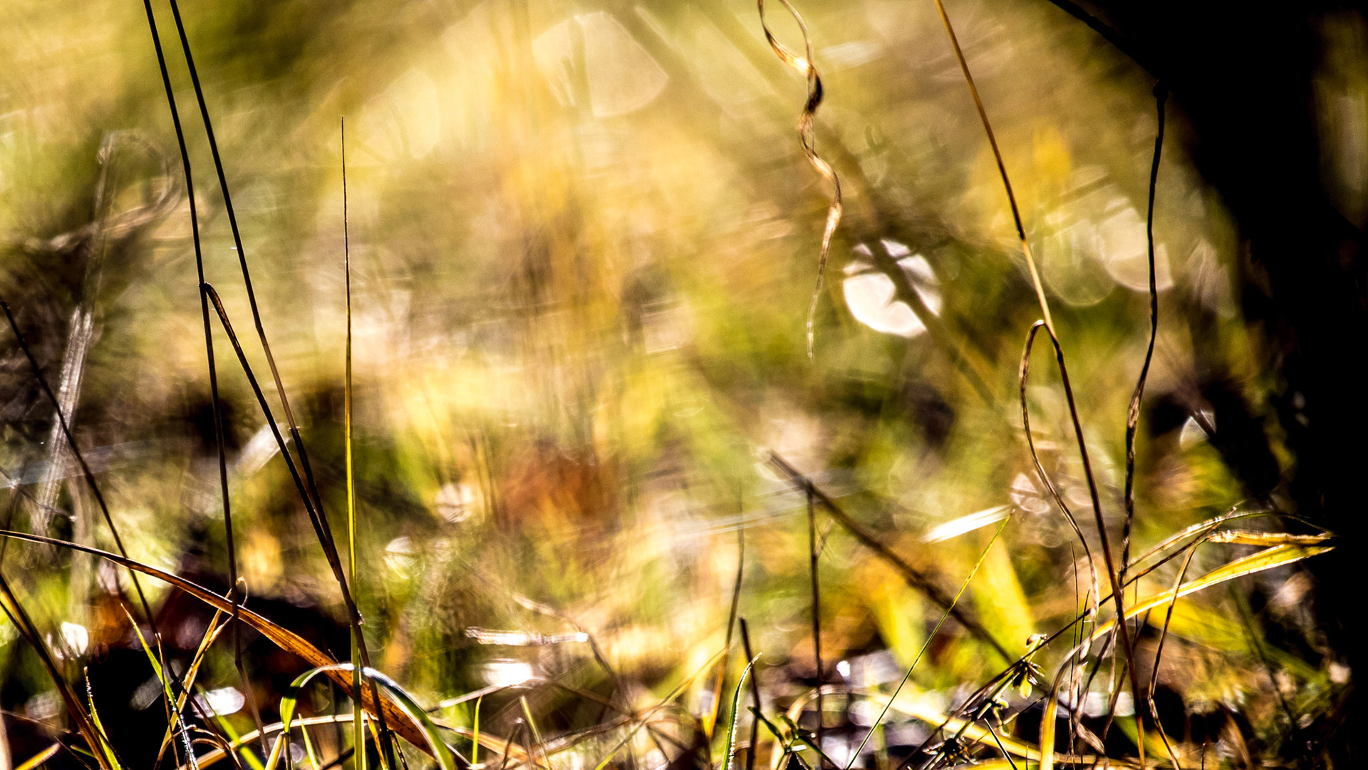 FRÜHLINGS- PLANUNGSTREFFEN 2022 MIT INTEGRIERTER VORSTANDSSITZUNG