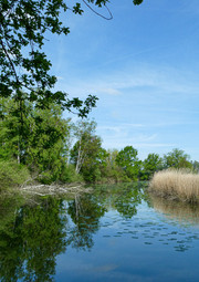 20230507094116 P1000225 180